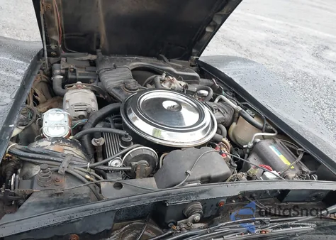 1981 Chevrolet Corvette z USA, uszkodzony, nr VIN 1G1AY8766B5103606